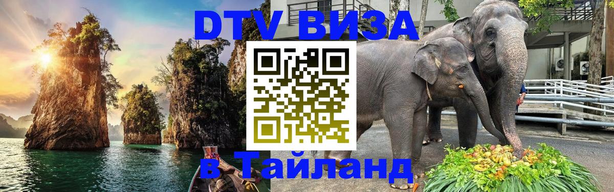 Долгосрочная виза DTV в Тайланд Долгосрочная виза DTV в Тайланд